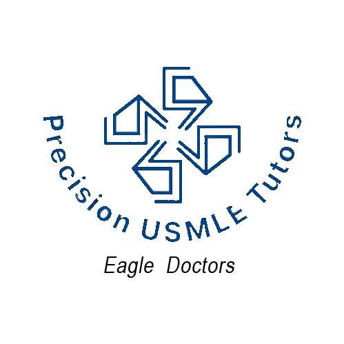 Precision usmle tutors